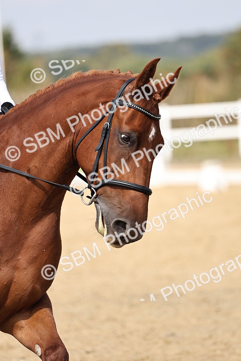 SBM_018386 - Class 16 - Novice 5 - 11.12-12.01