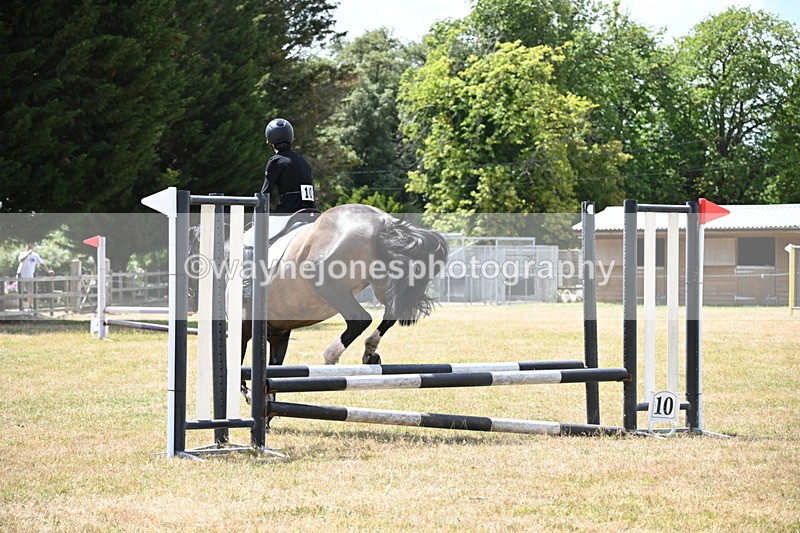 WJ6_5618 - Class 13 Novice 60cm