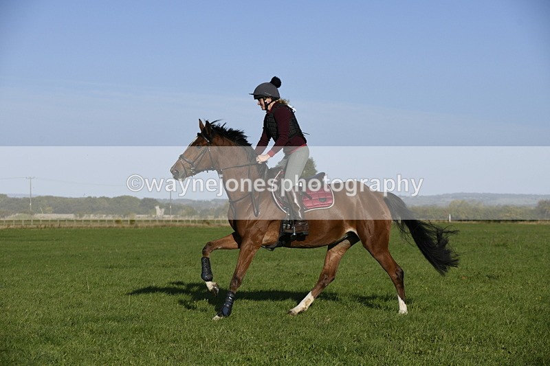 _DSC3919 - Time 08:53 to 09:55