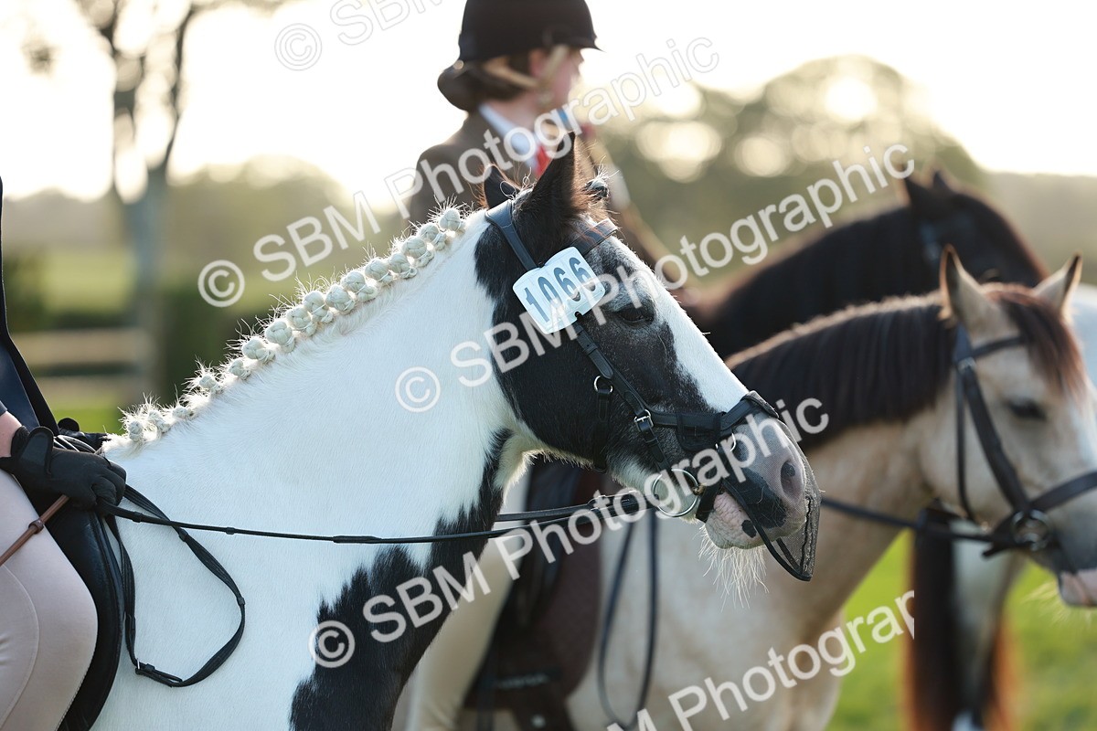 SBM_28797 - S7 - Novice & Newcomer Ridden Pony