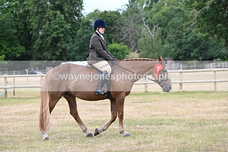 WJ6_4075 - Class 9 Tack & Turnout