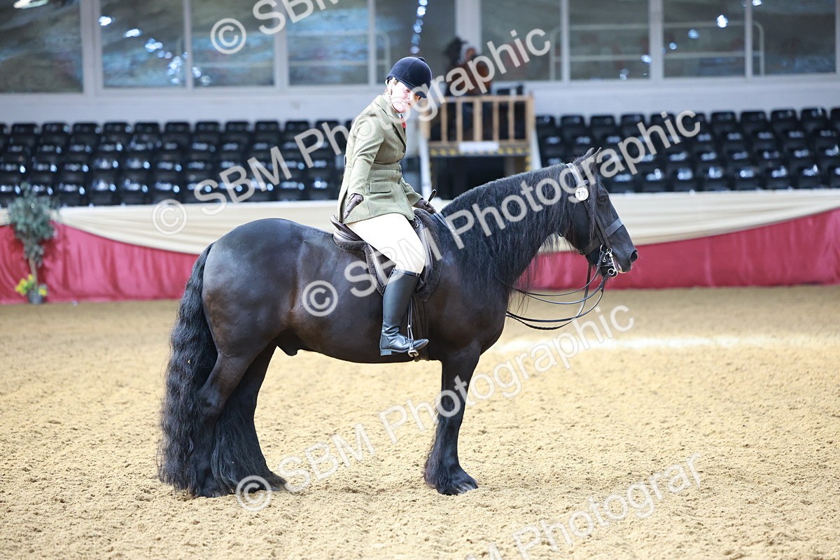 SBM_11881 - Class 102 - Equitation (Best Rider) Adult
