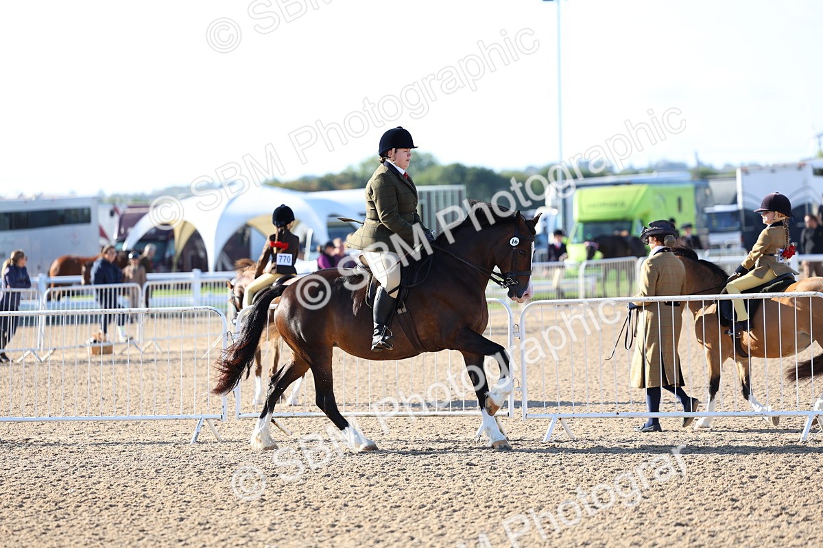 SBM_08759 - Class 302 - Ridden M&M - Large Breeds