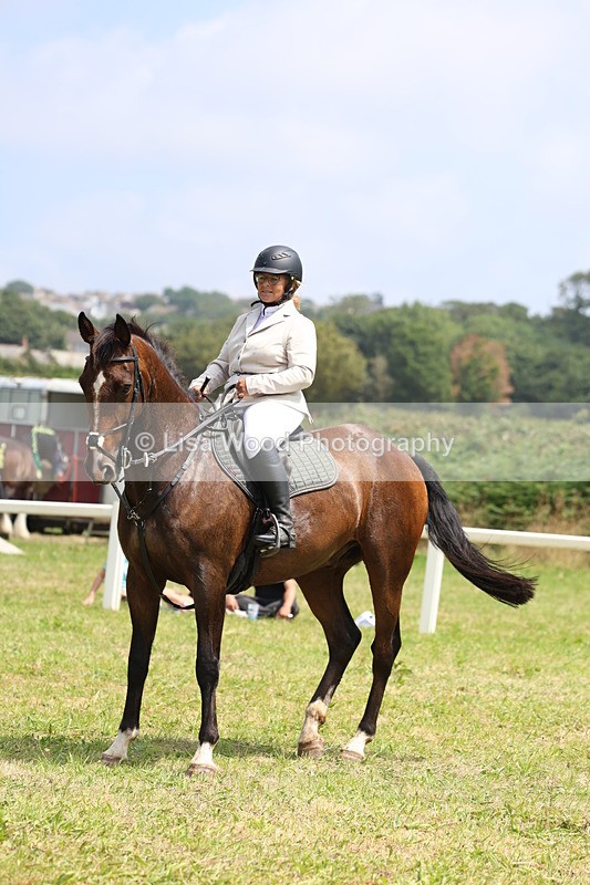 3E7A3018 - Class 7: Senior British Novice/90cm open