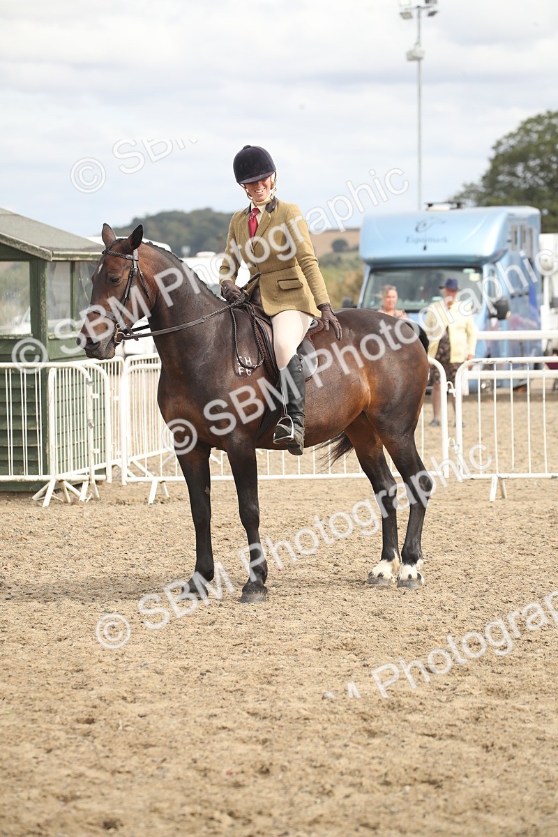 SBM_17824 - Class 508b - Working Veteran 70cm (20+)