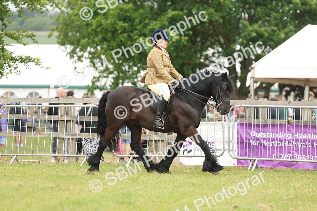 SBM_08909 - Class 78-80 - Ridden M&M Non Welsh Ponies