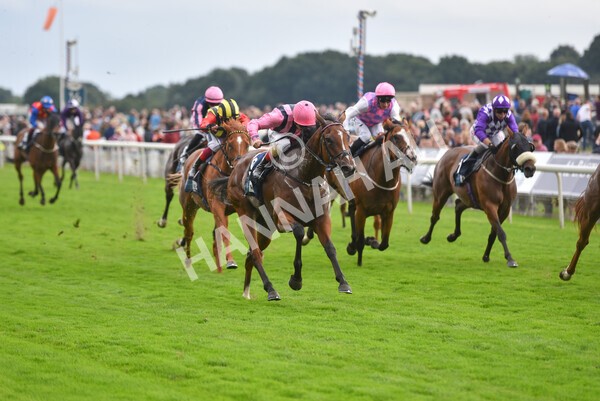 yr19082021r7-22 - Race 7 5.20pm British Stallion Studs EBF Fillies' Stakes