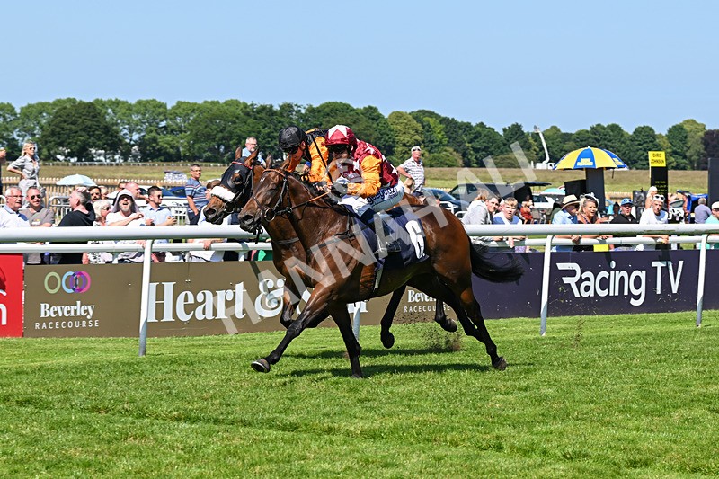 250624-Race 4-Lincoln Rockstar-5643 - Race 4