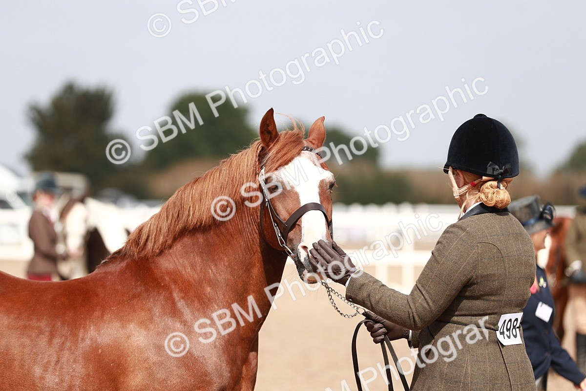 SBM_13915 - Class 209 IH Veteran Pony