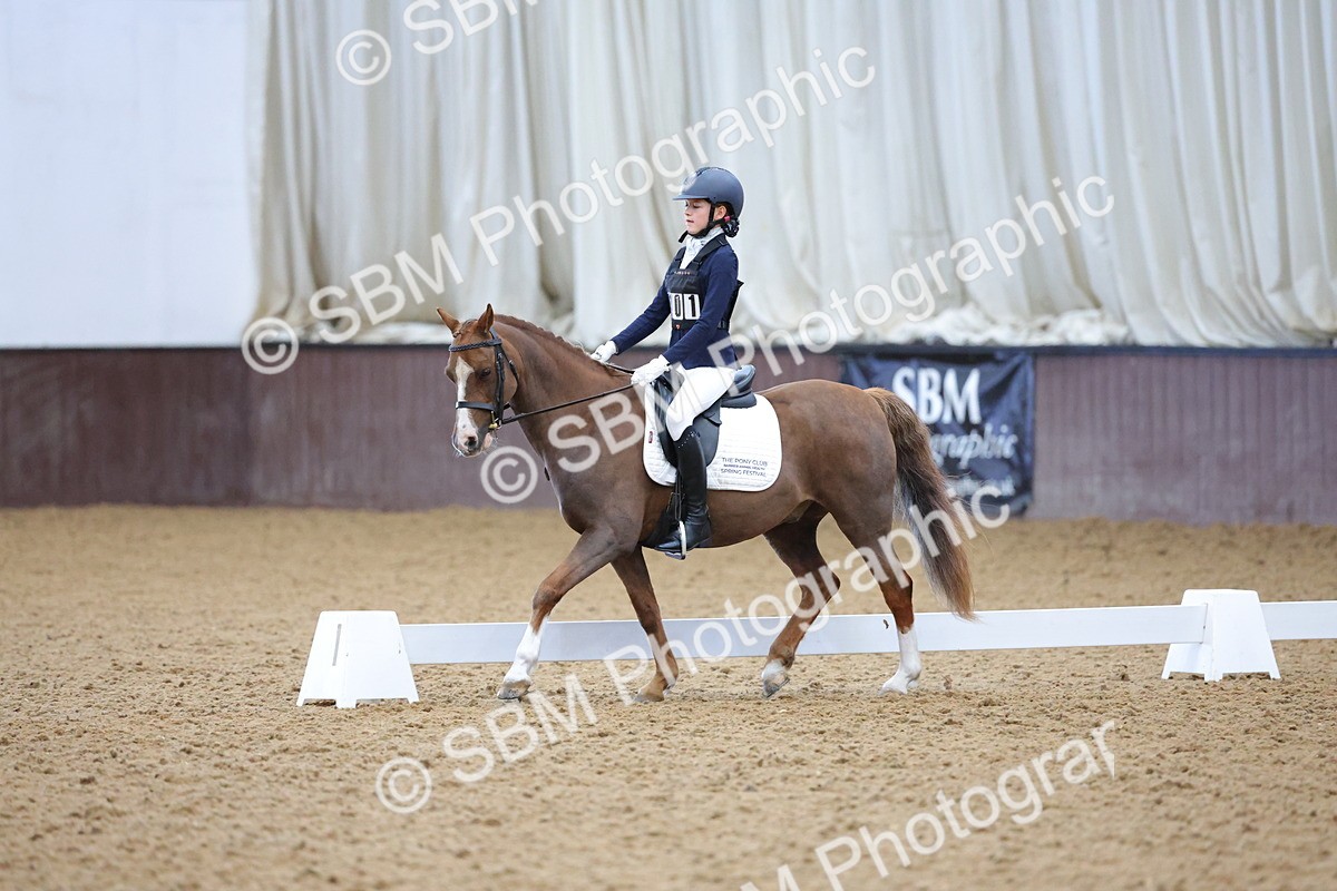SBM_003668 - Novice