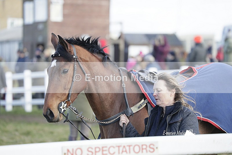 PtP 260223 997 - South & West Wilts Point-to-Point Larkhill 26/02/23