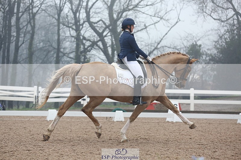 240217A-123643-02929 - 274-Clare.Smith-Dori.Dragon.Fly