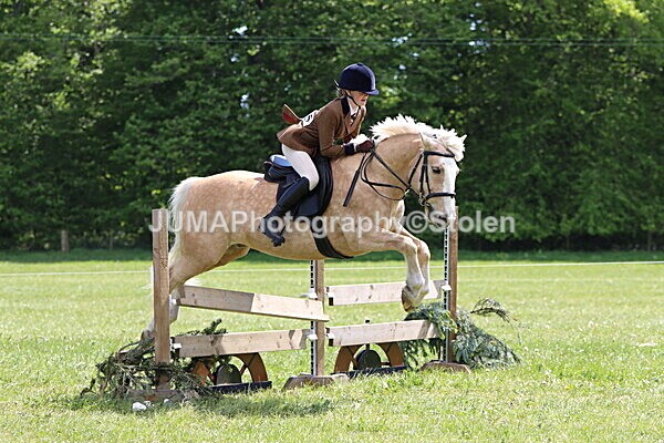 IMG_4268 - Working Hunter