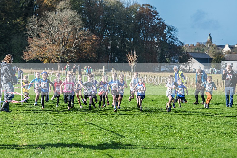 Cumbria XC-6 - Cumbria XC League Workington Saturday 26th October 2024