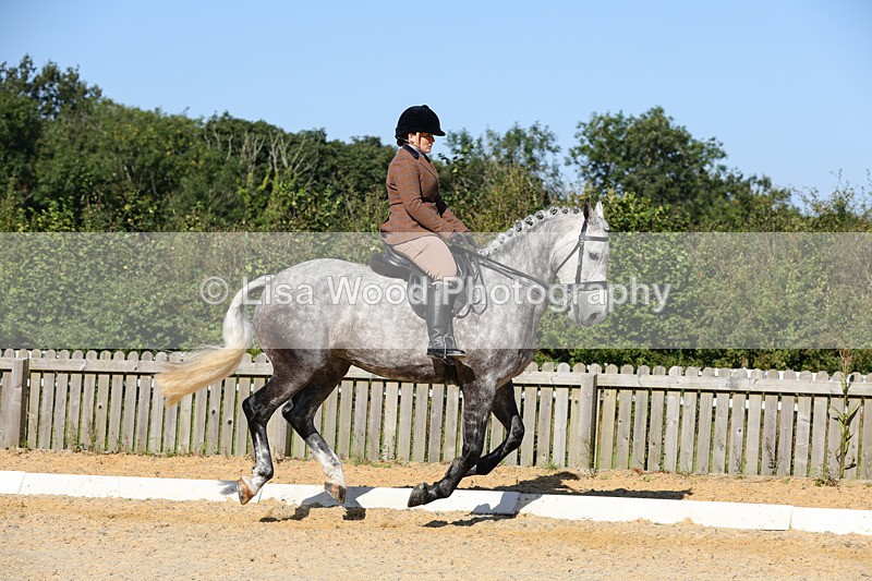 1X9A7737 - Class 9: Open Ridden Hunter