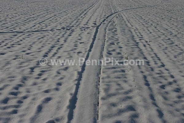 116 - Photos of Wakefield - Yorkshire