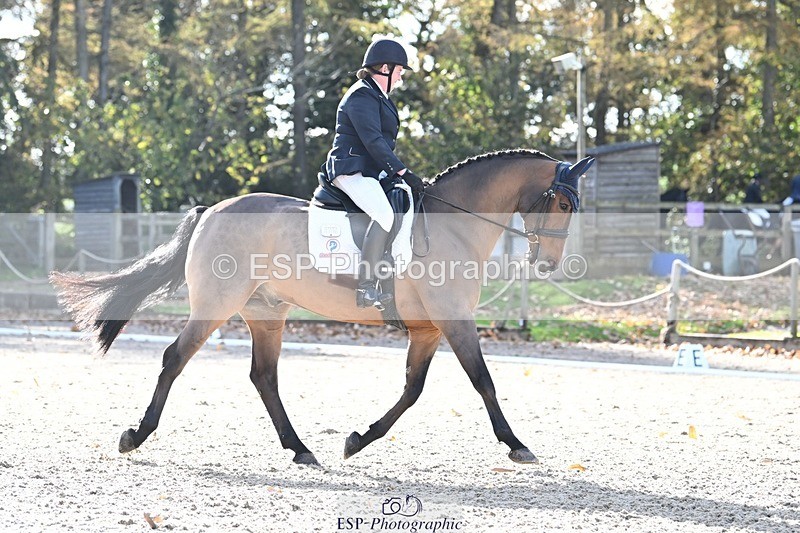 231110-123543-00721 - Cls 3 Novice 22