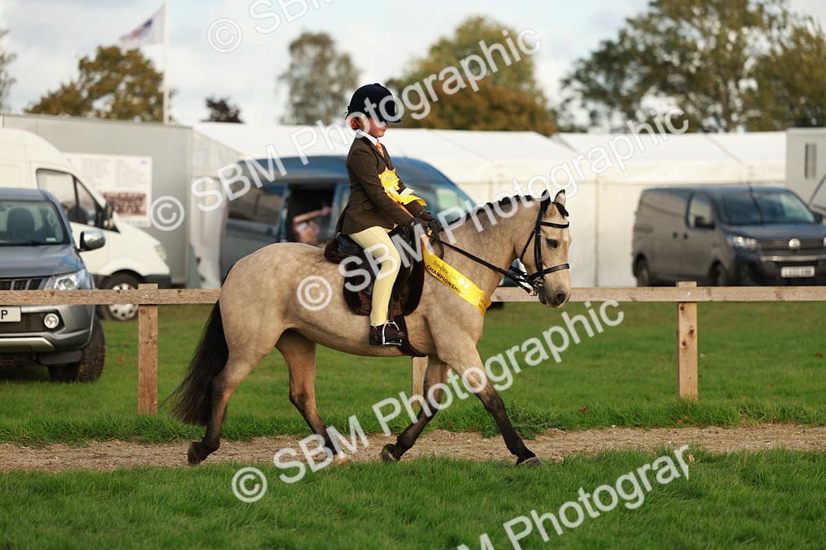 SBM_28926 - S7 - Novice & Newcomer Ridden Pony