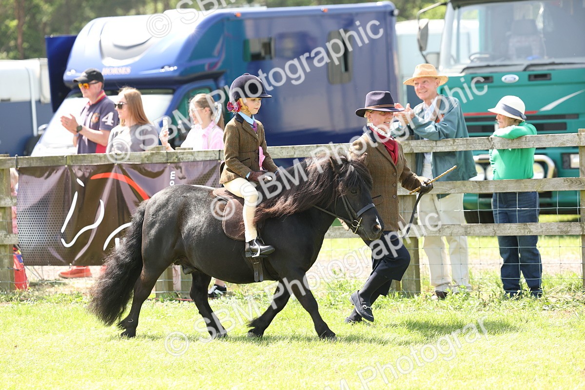SBM_05310 - Class 24-25 - Mountain & Moorland In Hand Lead Rein and First Ridden