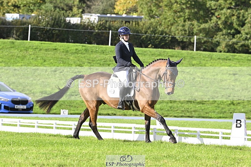 251023A-151013-04534 - E-386-Zara.Head