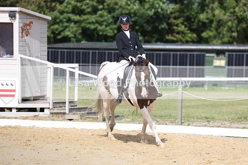 3E7A4132 - Class 9: Novice 6 Section B Championship