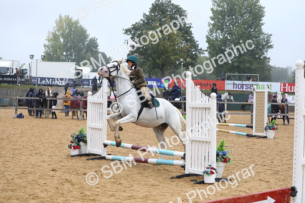 SBM_71462 - J4 - Mini Tour Junior Pony 45cm Championship