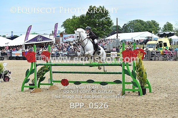 BPP_0526 - RHS 2019 Selection - *Just some random spectator shots so Lucky Dip if you are there!
