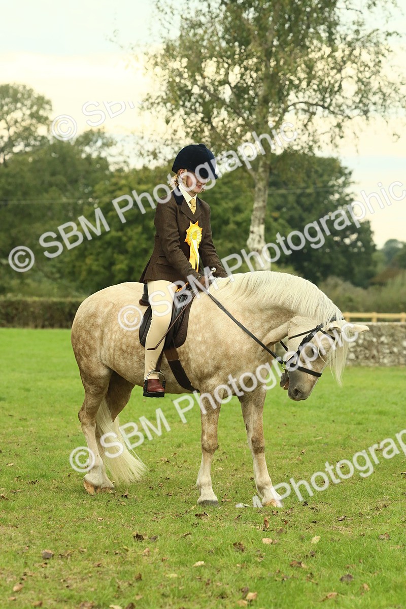SBM_72338 - S60 - Mountain & Moorland Ridden Large Breeds