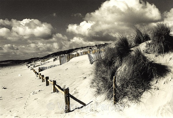  - Traditional Black & White