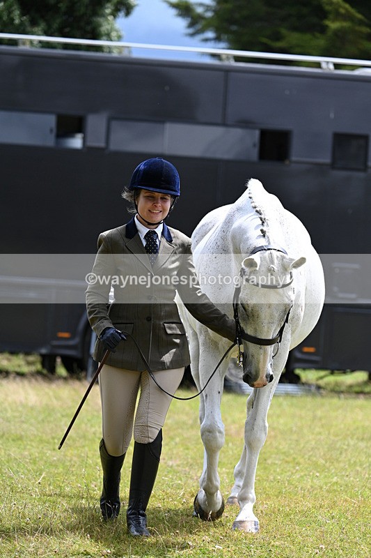 WJ7_6924 - Class 5a Most Handsome Gelding in Hand