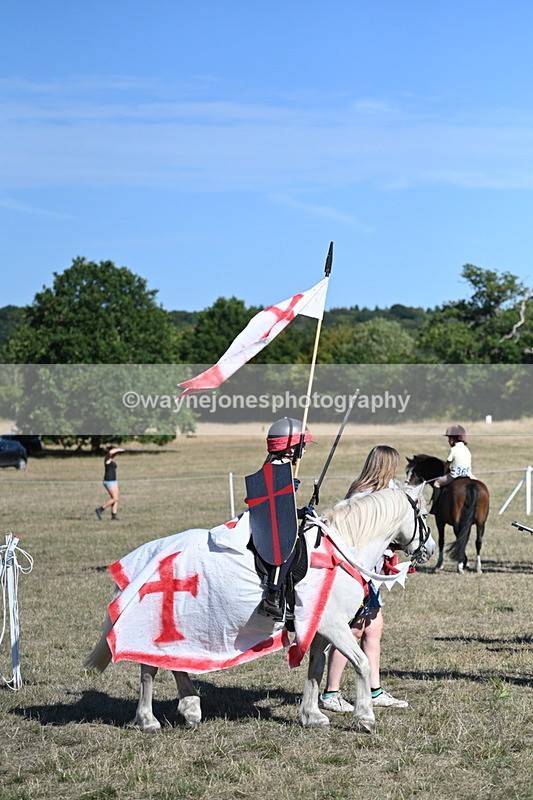 WJ7_2313 - Class 45 Fancy Dress (My Fav)