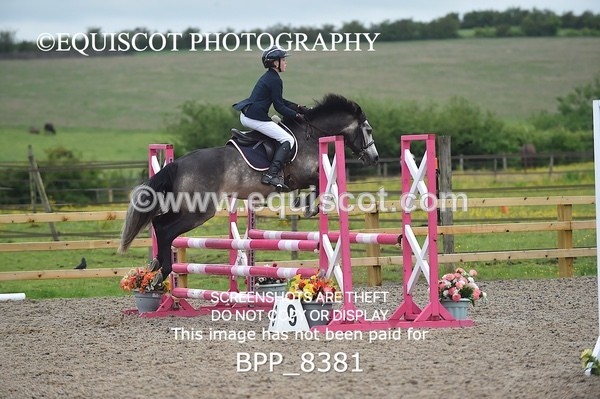 BPP_8381 - CLASS 1 British Novice / 0.80m Open