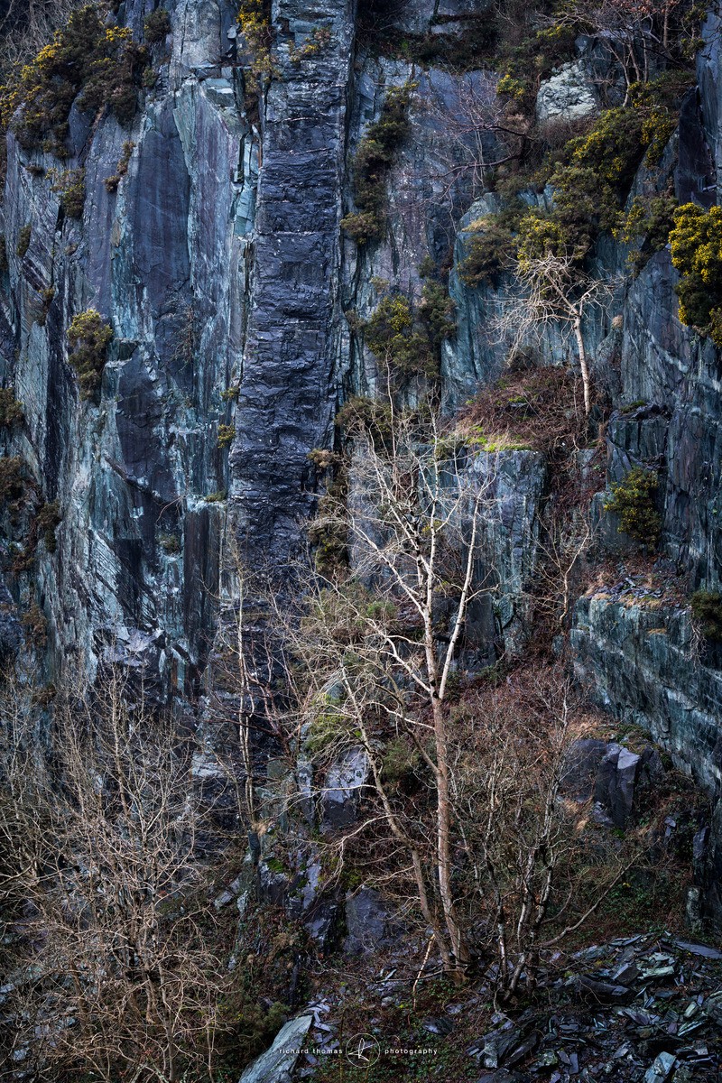 Base jumper - Repossession