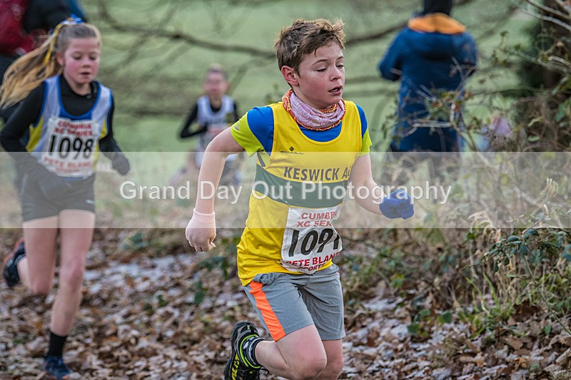 Cumbria XC-31 - Cumbria Cross Country Championships (Junior & Senior Races) Saturday 3rd January 2026