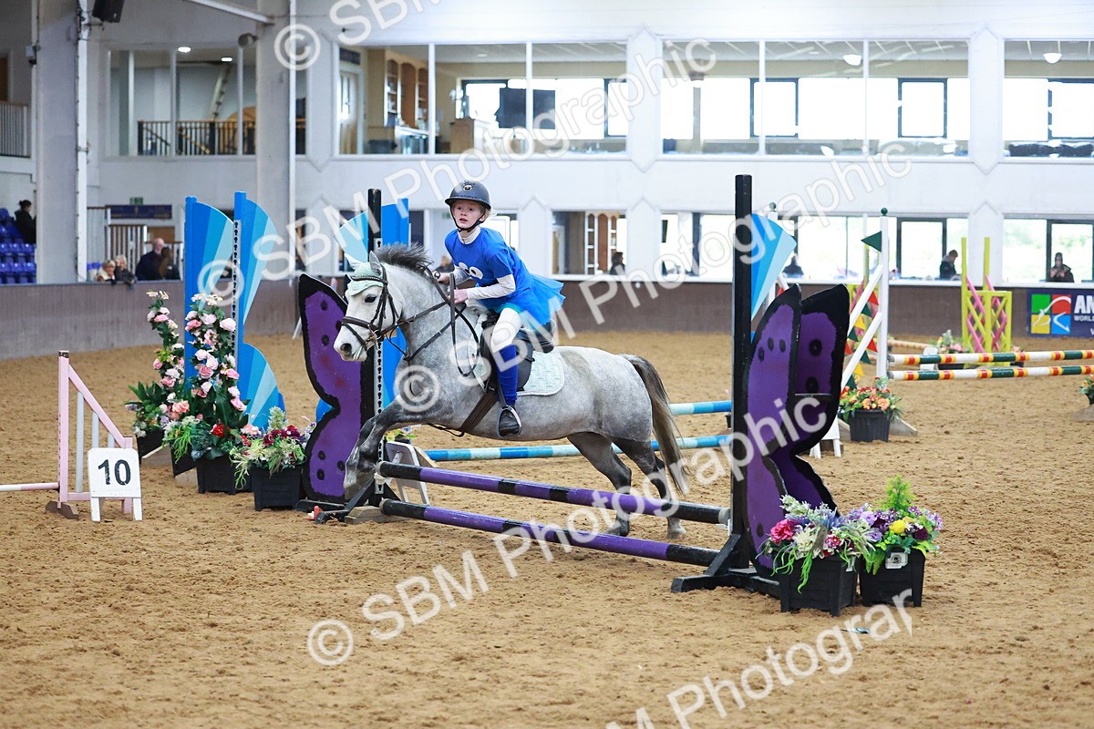 SBM_002131 - Class 3 - Horse & Hound (60cm)