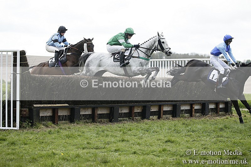 PtP 170417 76 - Old Berks Point-to-Point Lockinge 17/04/17