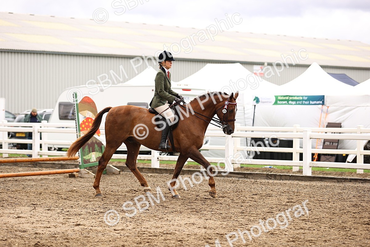 SBM_00532 - Class 53 - Ridden Competition Horse Pony