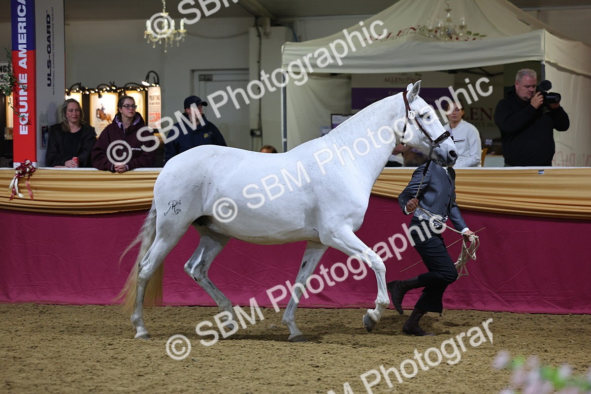 0B8A4754 - Class S Costume Concours Champ