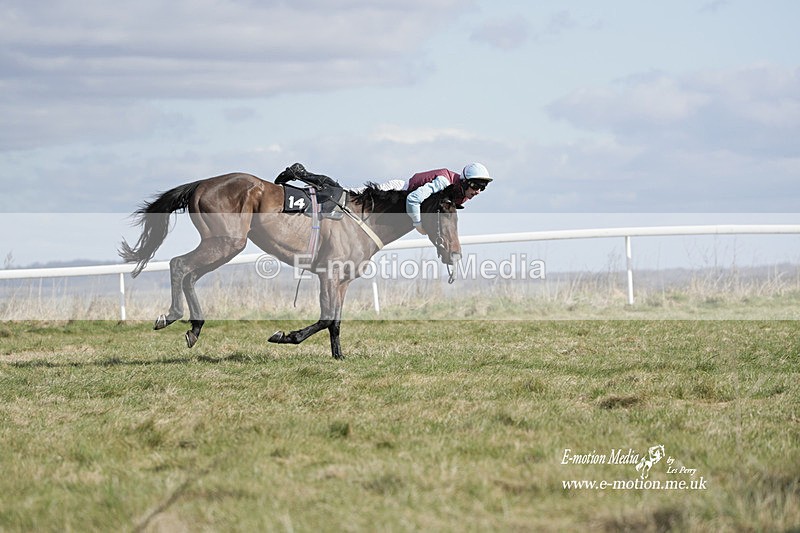 PtP 260223 488 - South & West Wilts Point-to-Point Larkhill 26/02/23