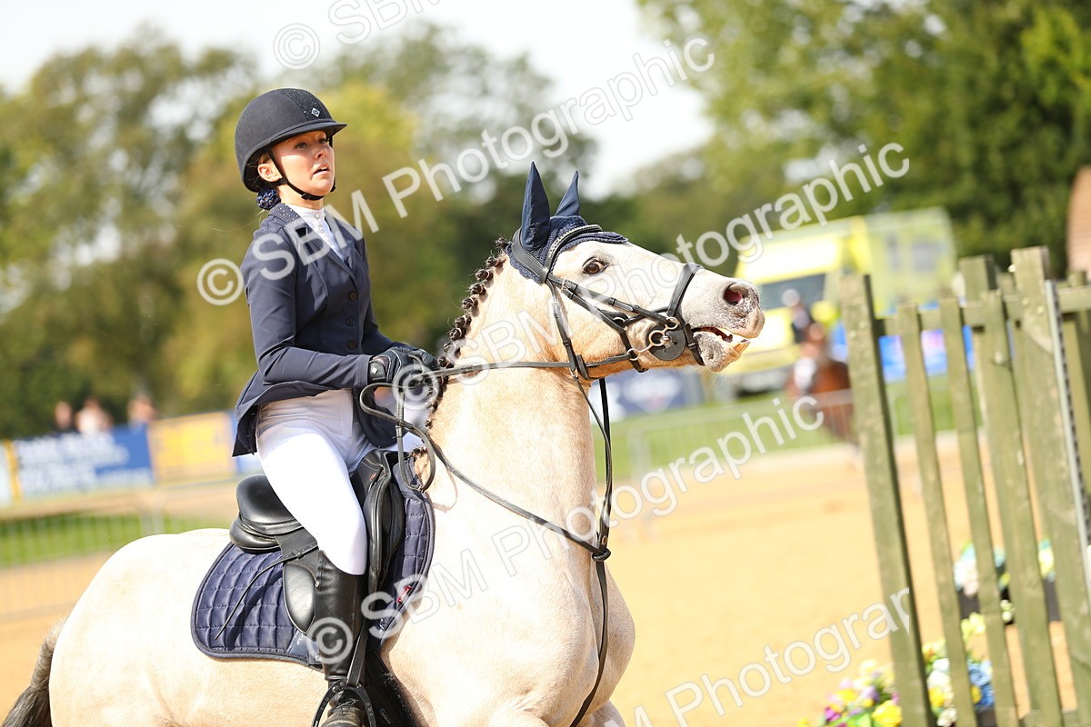 SBM_66115 - J17 - Junior Pony 80cm Championship