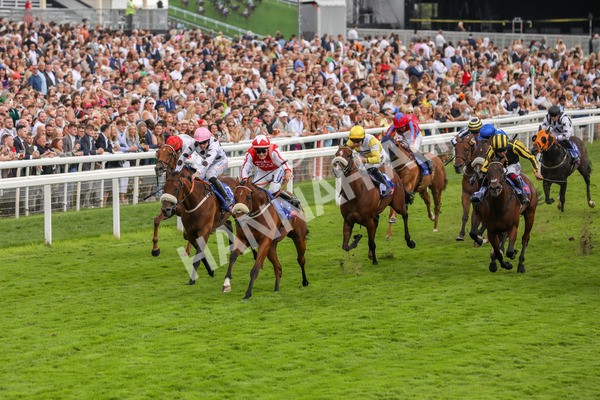 270724-Race 1-Night On Earth-4602 - Race 1 2.05pm Sky Bet 'Jump Jockeys' Nunthorpe' Handicap