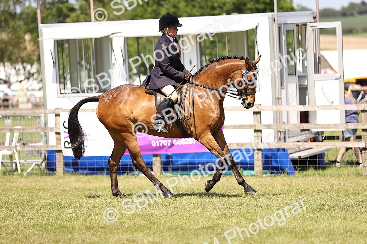 SBM_18028 - Class 81-83 - TSR Ridden Amateur of the Year - Horses