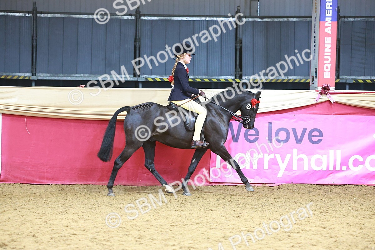 SBM_12412 - Class 103 - HOYS Veteran Qualifier - Ridden Pre Vet