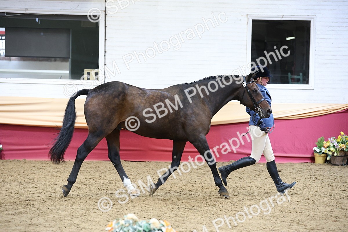 SBM_23629 - Class 904 - Supreme Final - Ridden Diamond