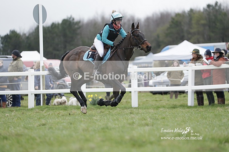 PtP 260323 0200 - New Forest Hounds Point-to-Point Larkhill 26/03/23