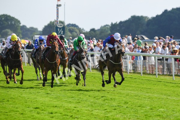 160623-Race 5-Harvanna-0577 - Race 5 4.10pm Juddmonte British EBF Fillies' Restricted Novice Stakes