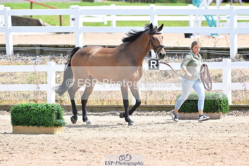 240717A-145216-02353 - Trot Up 2pm to 3pm - This folder is not in time order