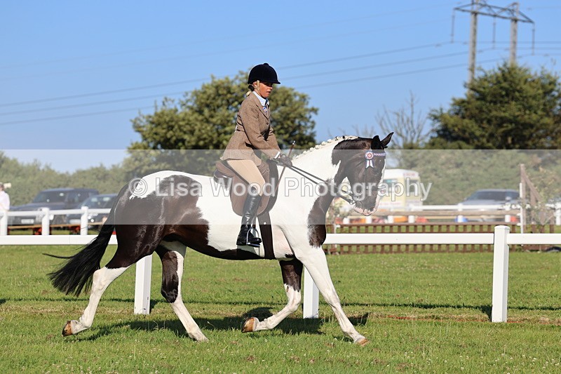 IMG_1201 - Class 27: Ridden Plaited Coloured Horse