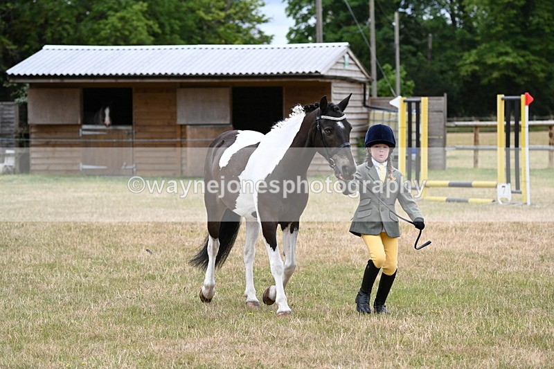 WJ6_4341 - Class 10 Coloured In-hand