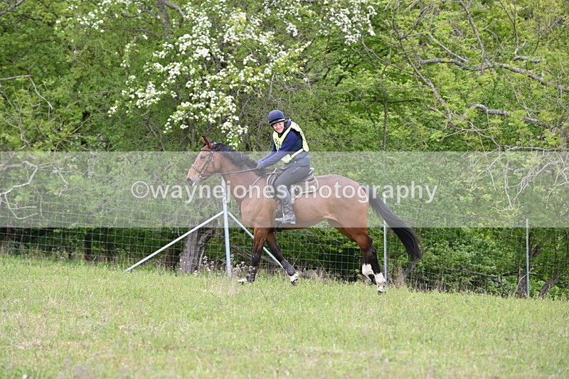 WJ6_1934 - Group 8 A&B Cameras